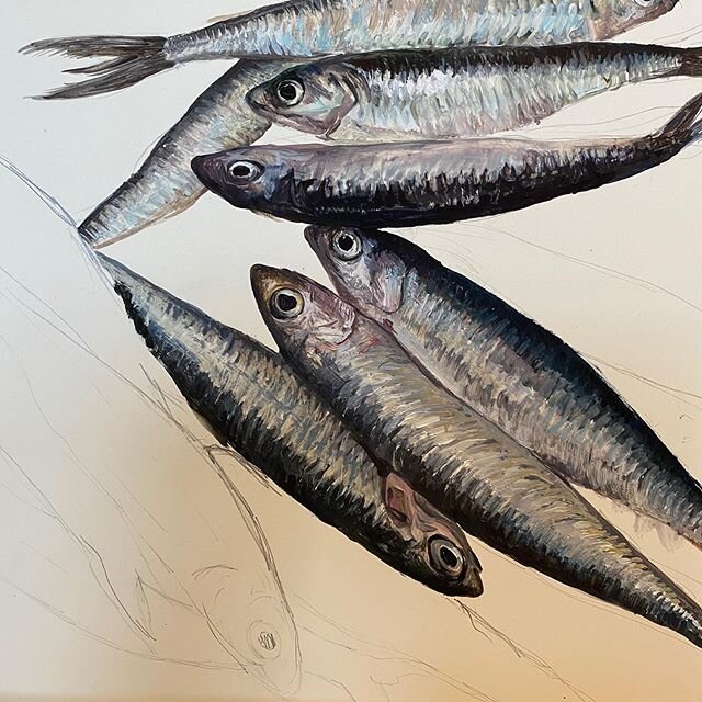 Yeah! Managed to start a painting yesterday...lovely to get back to it. Fish photo taken from an amazing fish market in Cadiz back in the days when we could travel 😢😔sigh..... #oilpainting #fishart #fish #contemporaryart #realistart #Cadiz