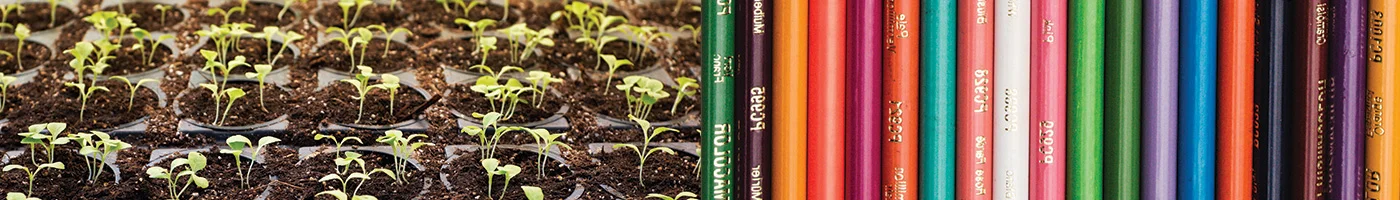 banner-image-3.jpg
