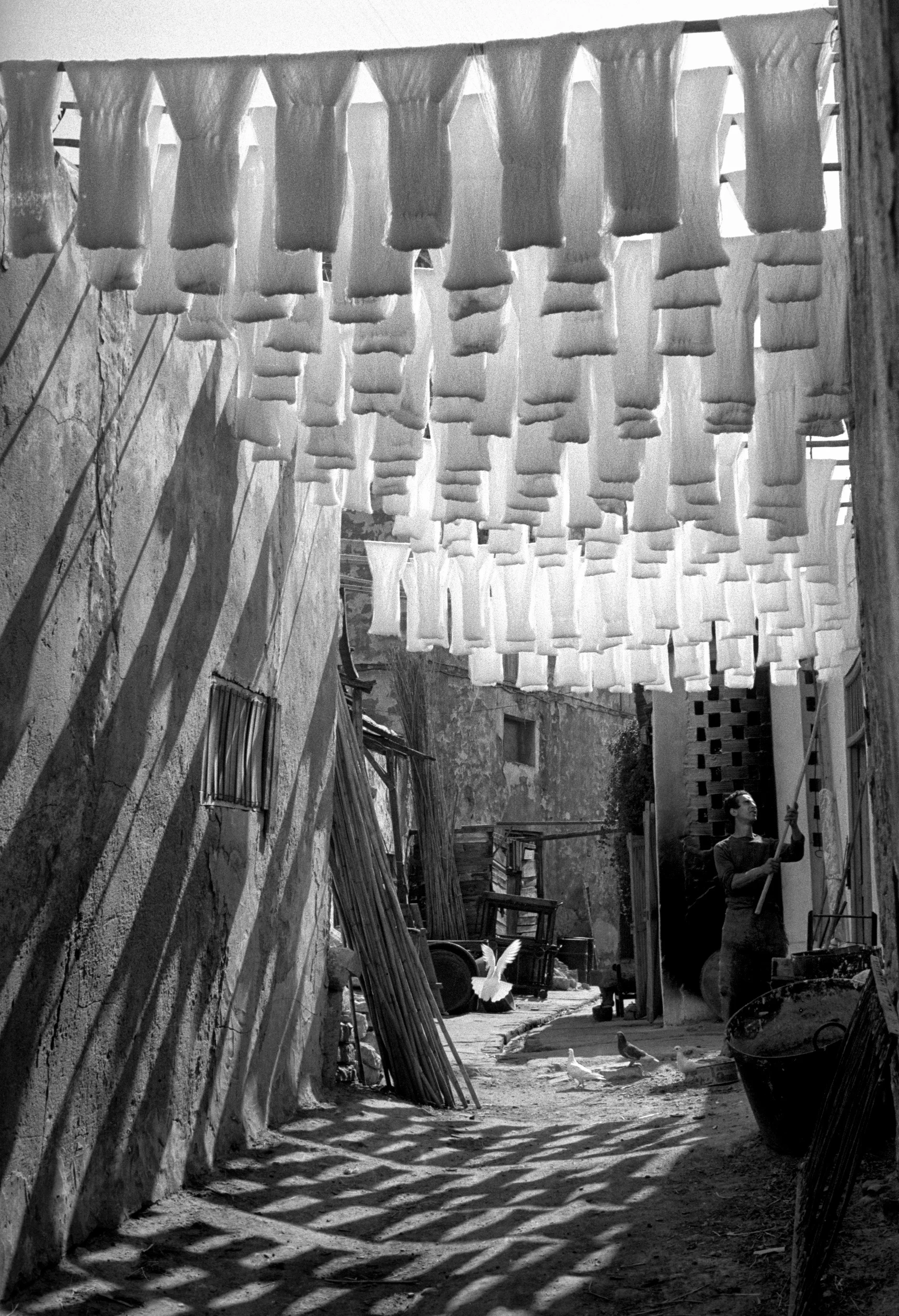 The wool suq, Tunis, Tunisia 1958