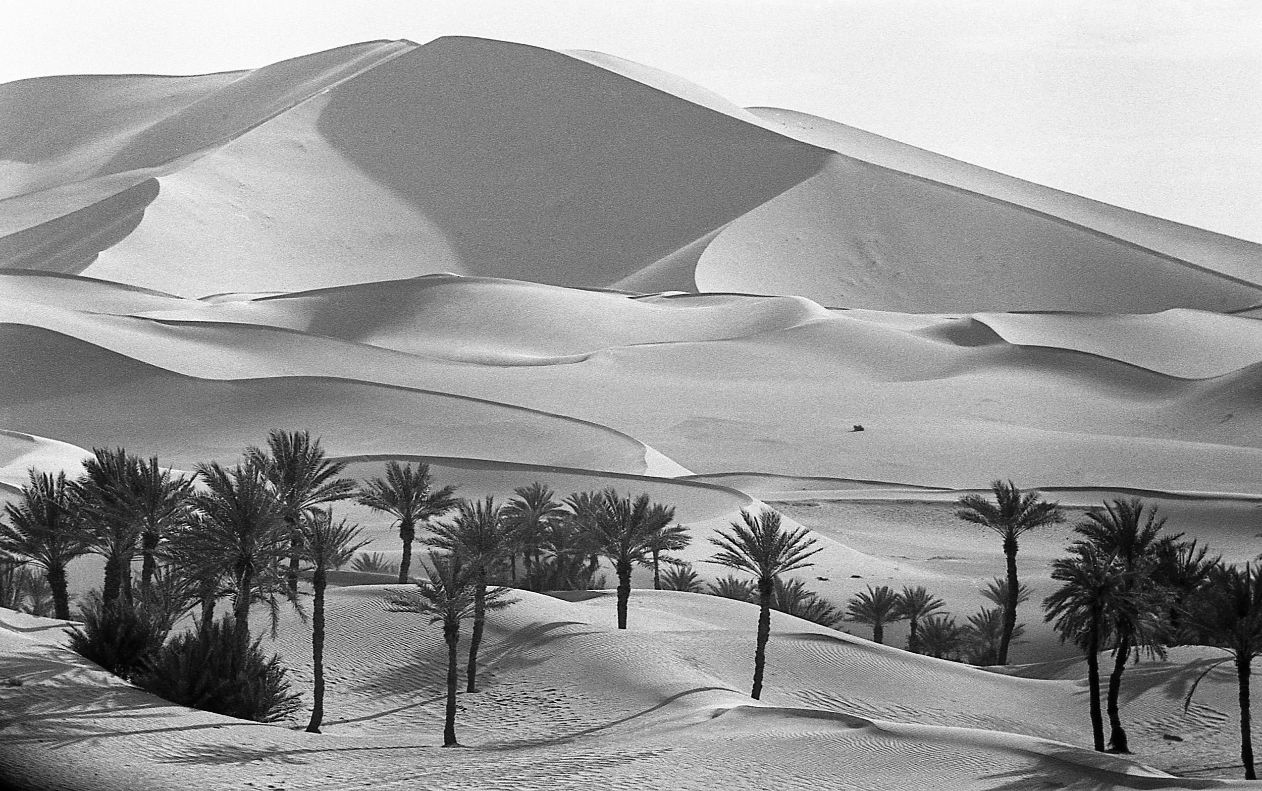 Sand dunes over the Oasis of Kirzaz, Algerian Sahara 1957