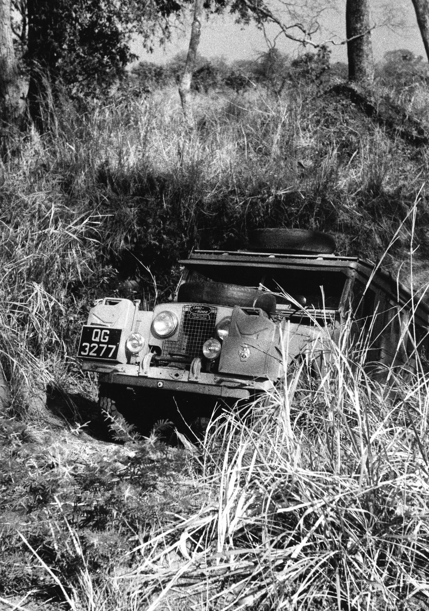 Kenya 1954