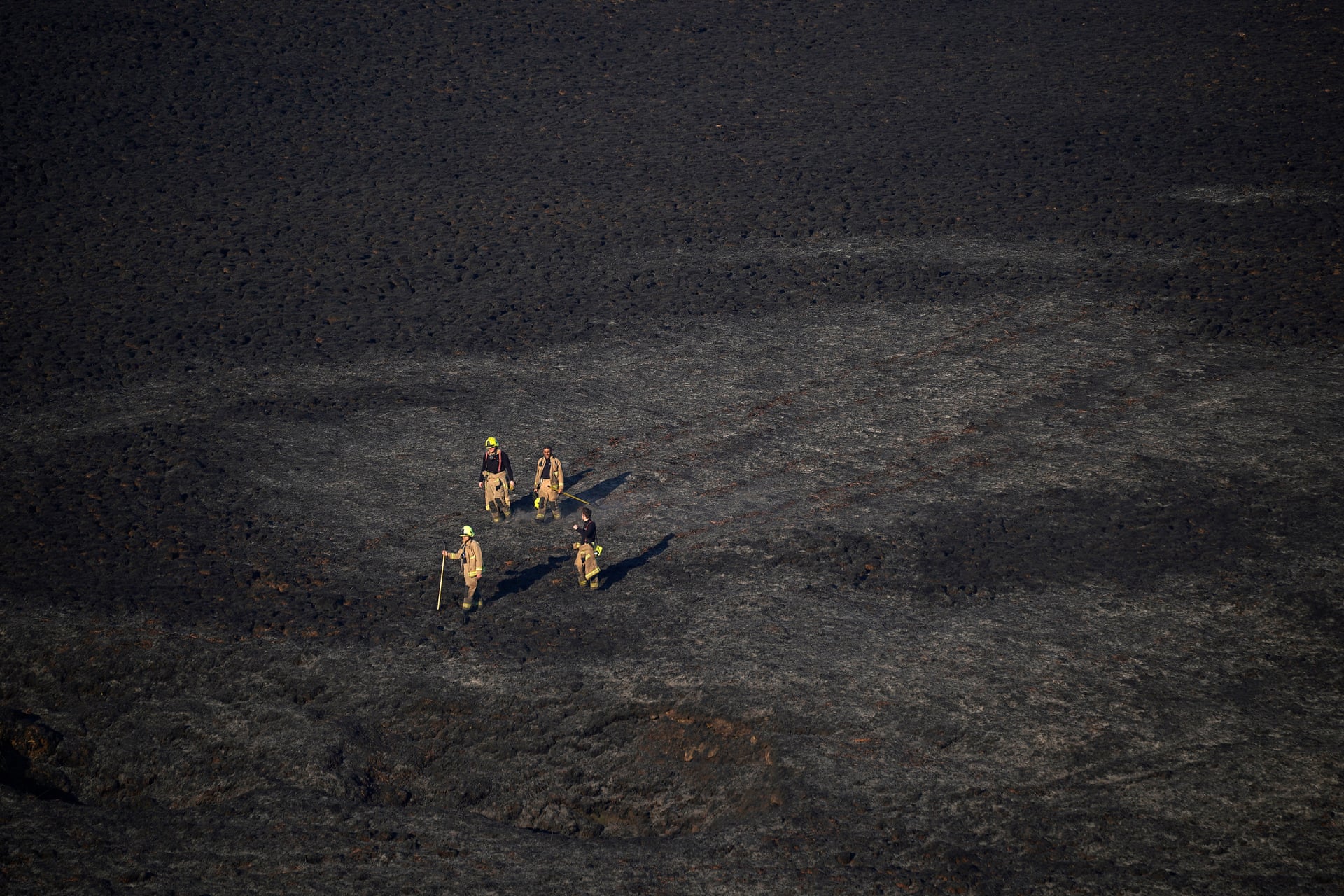 SKY AND LAND AND MAN AND BIRD
