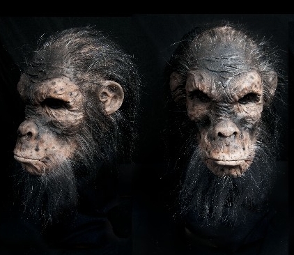 Chimpanzee Mask