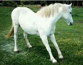 Image of unknown origin