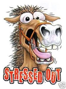 Bilde lånt fra: http://www.ebay.co.uk/itm/W07-Funny-stressed-out-horse-print-t-shirt-11505-p159-/150375204712