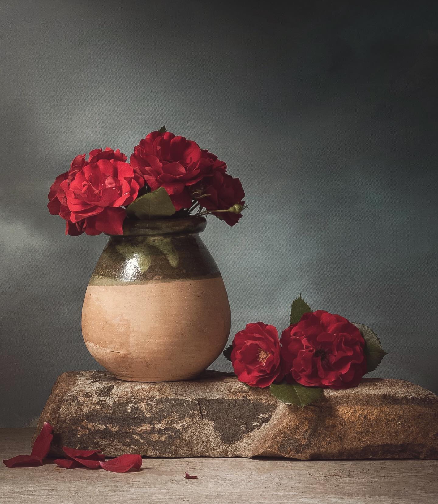 Roses in the sky.
🌹
🌹
🌹
🌹
🌹
#stillliferoses #stilllife_gallery #stilllife_perfection #rosesofinstagram #paintingwithlight #chiaroscuro #newwork #pictureoftheday #smallartist #surrealart #romance #artofvisuals #artoftheday