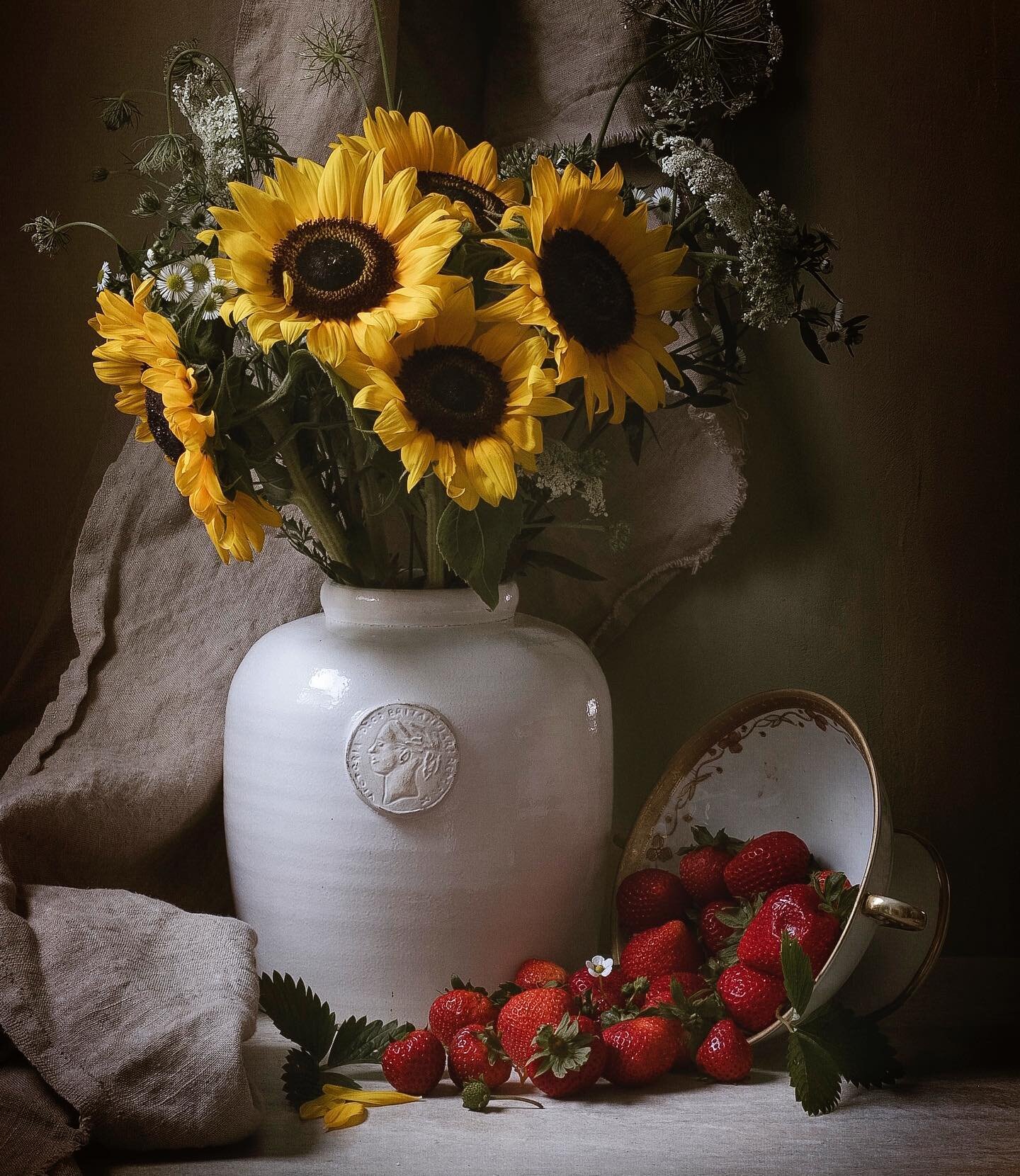 Sunflowers, Queen Anne&rsquo;s lace  and strawberries 🍓🌻

#stilllifephotography #stilllife_perfection #stilllifegallery #chiaroscuro #rembrandtlighting #newwork #smallartist #rustictable
