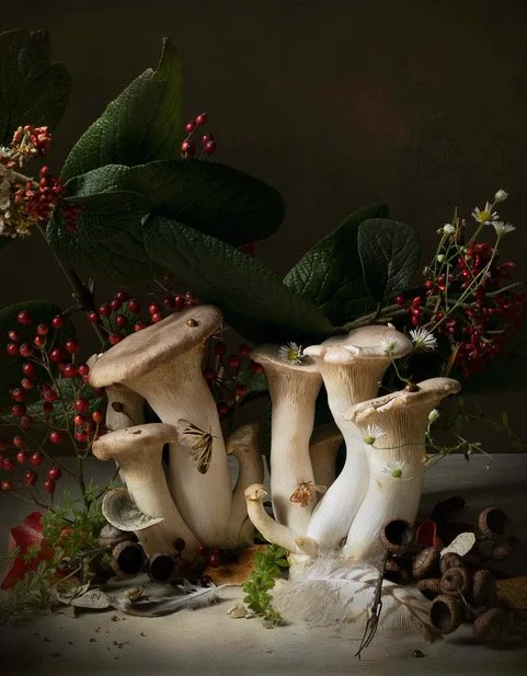 NocturnalMushrooms43x335 copy.jpeg