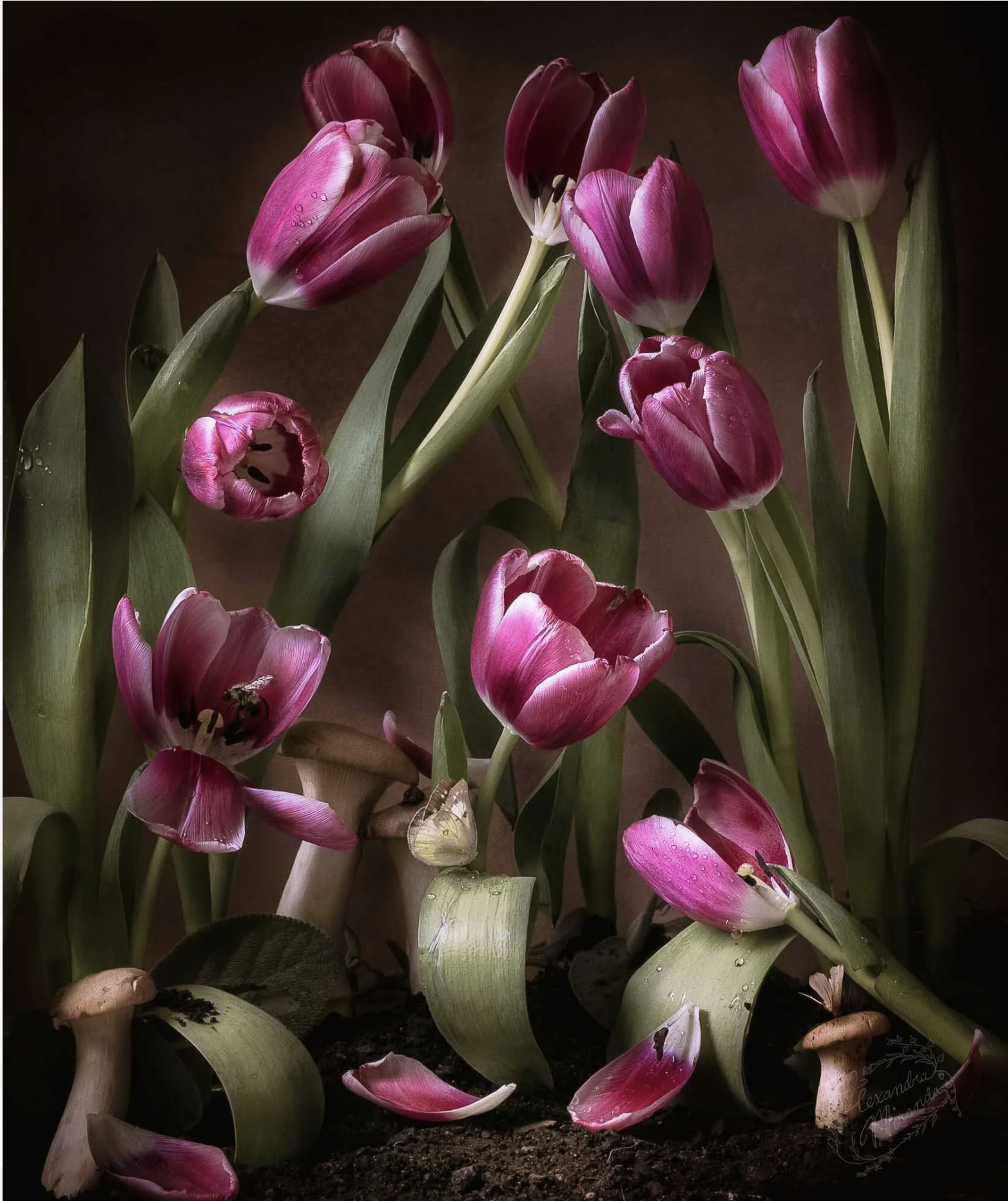 Screen Shot 2026-03-01 at 1.00.18 PM.png