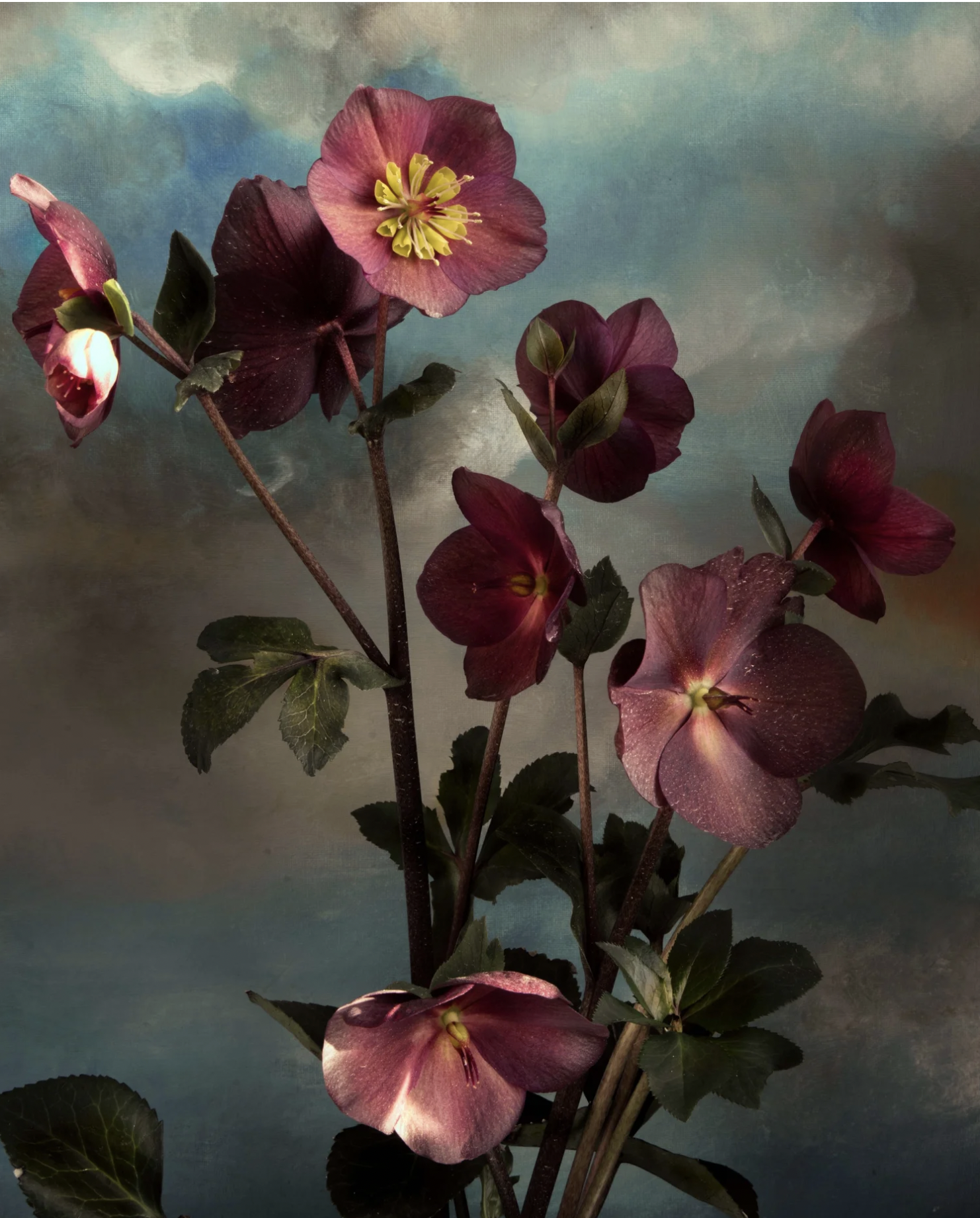 Screen Shot 2026-03-01 at 1.00.35 PM.png