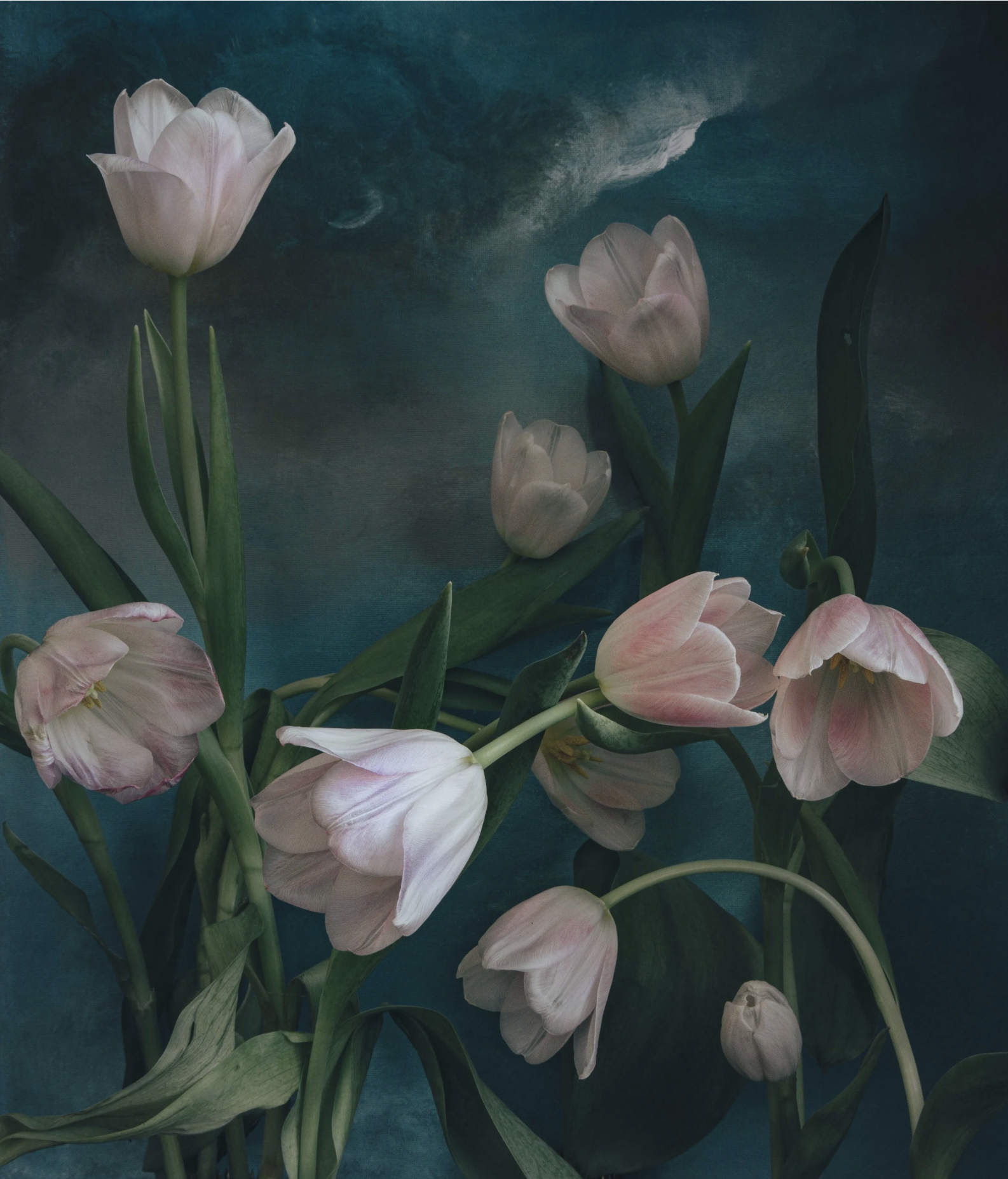 Screen Shot 2026-03-01 at 1.00.51 PM.png