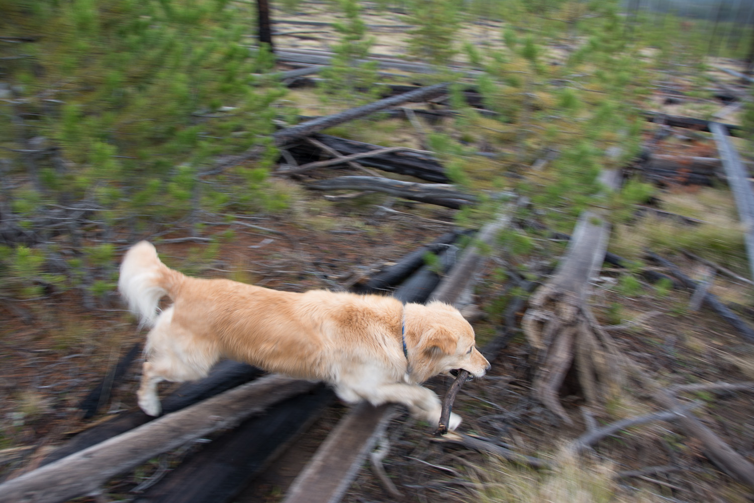 _DSC6685.jpg
