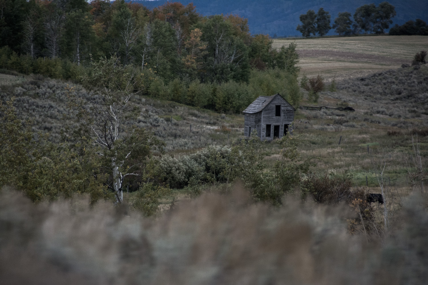 EvenOlder Abandoned House.