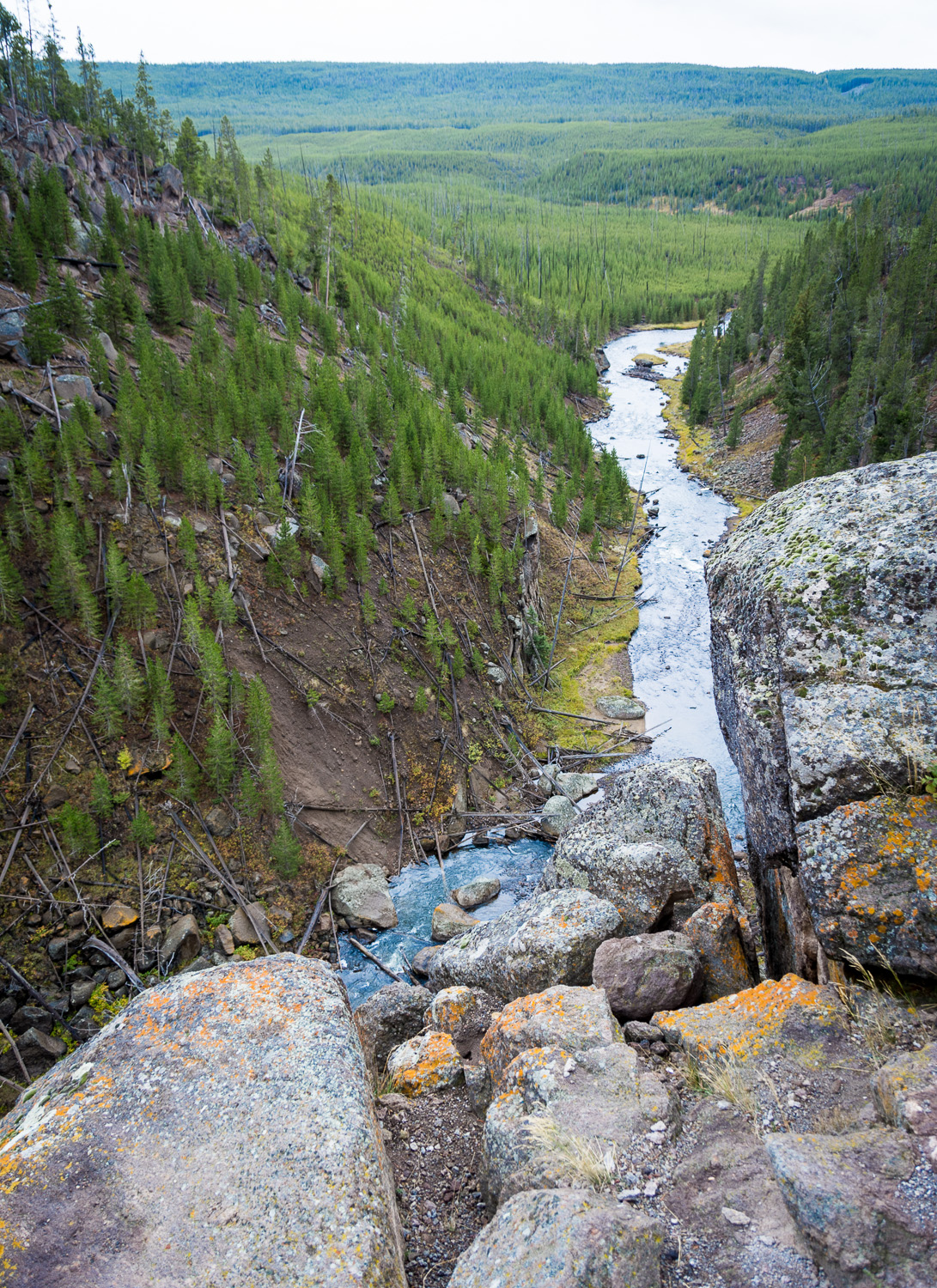 _DSC6983.jpg