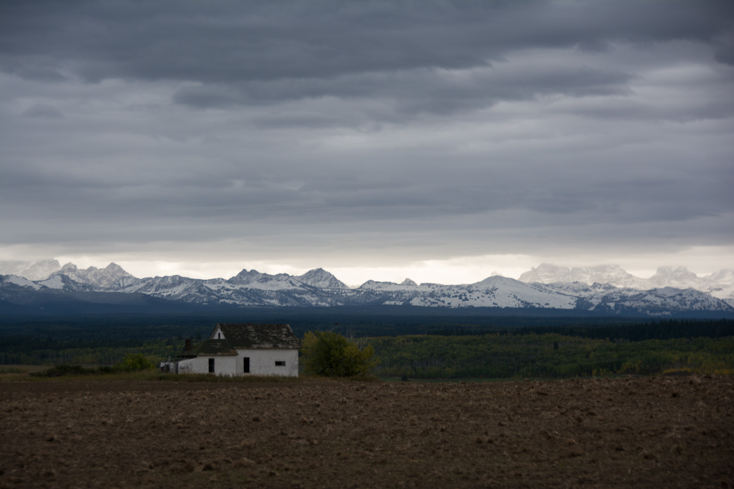 Old Abandoned House