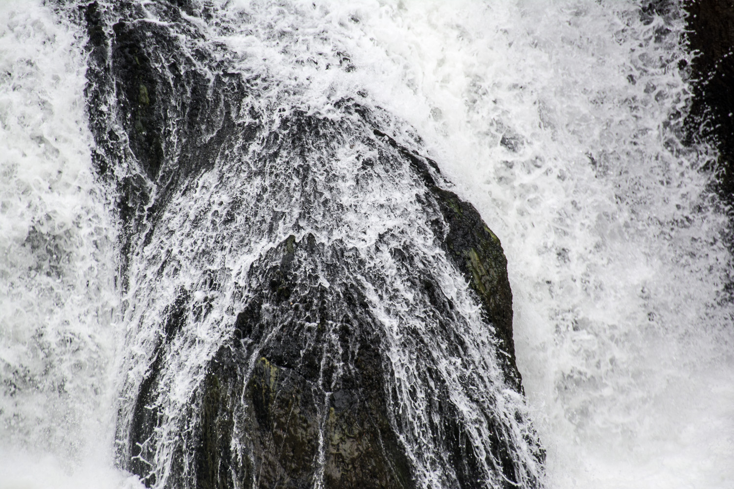 _DSC6958.jpg