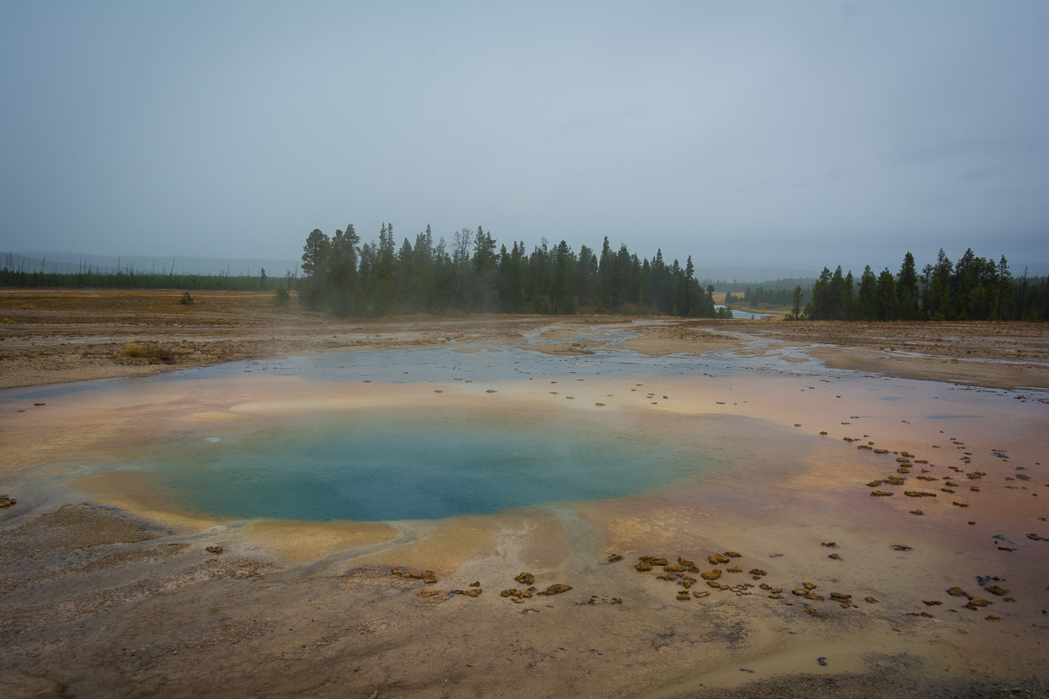 _DSC6830.jpg
