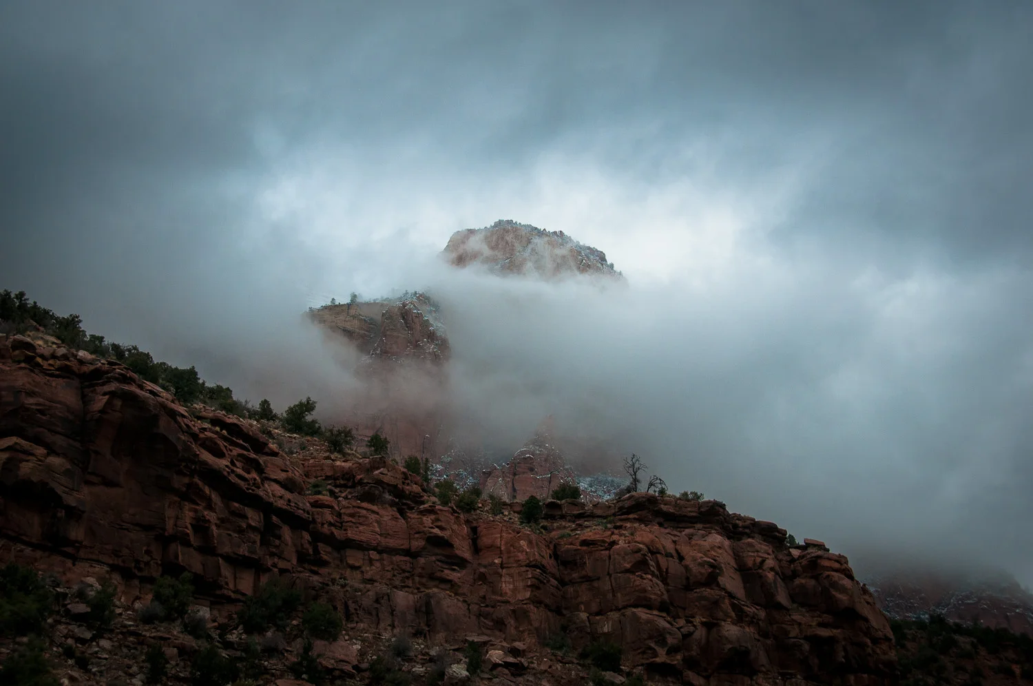 _DSC1645.jpg