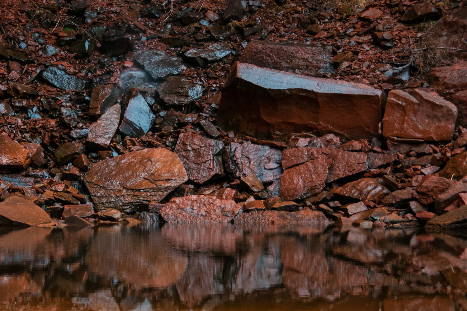 _DSC1956.jpg