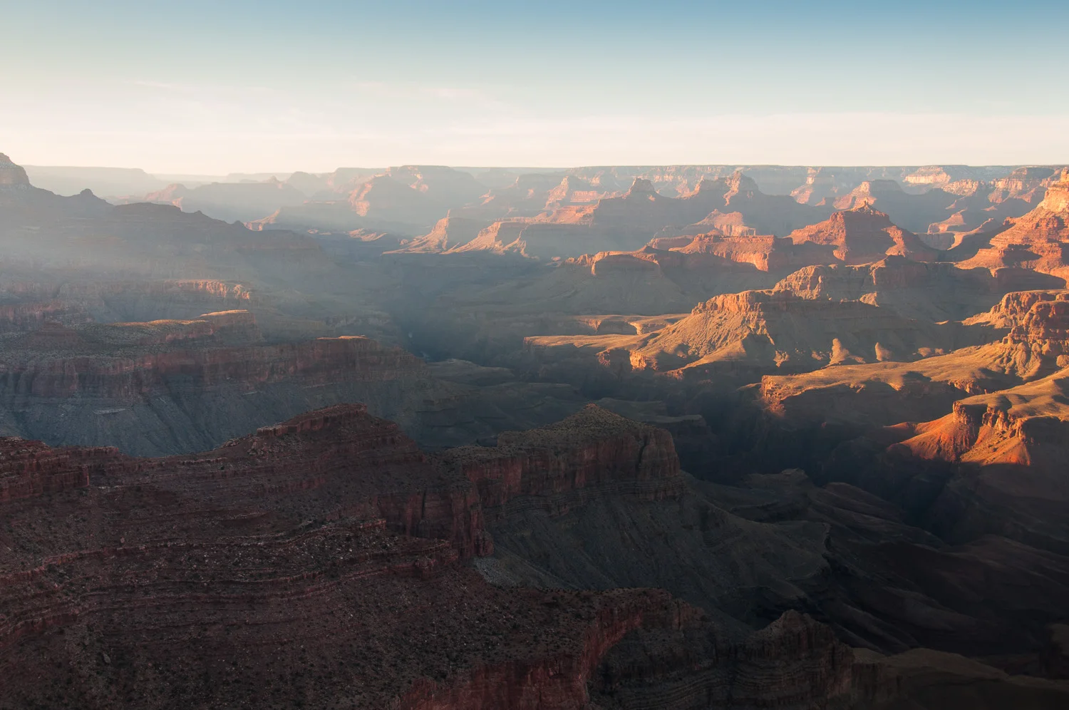 _DSC3595.jpg