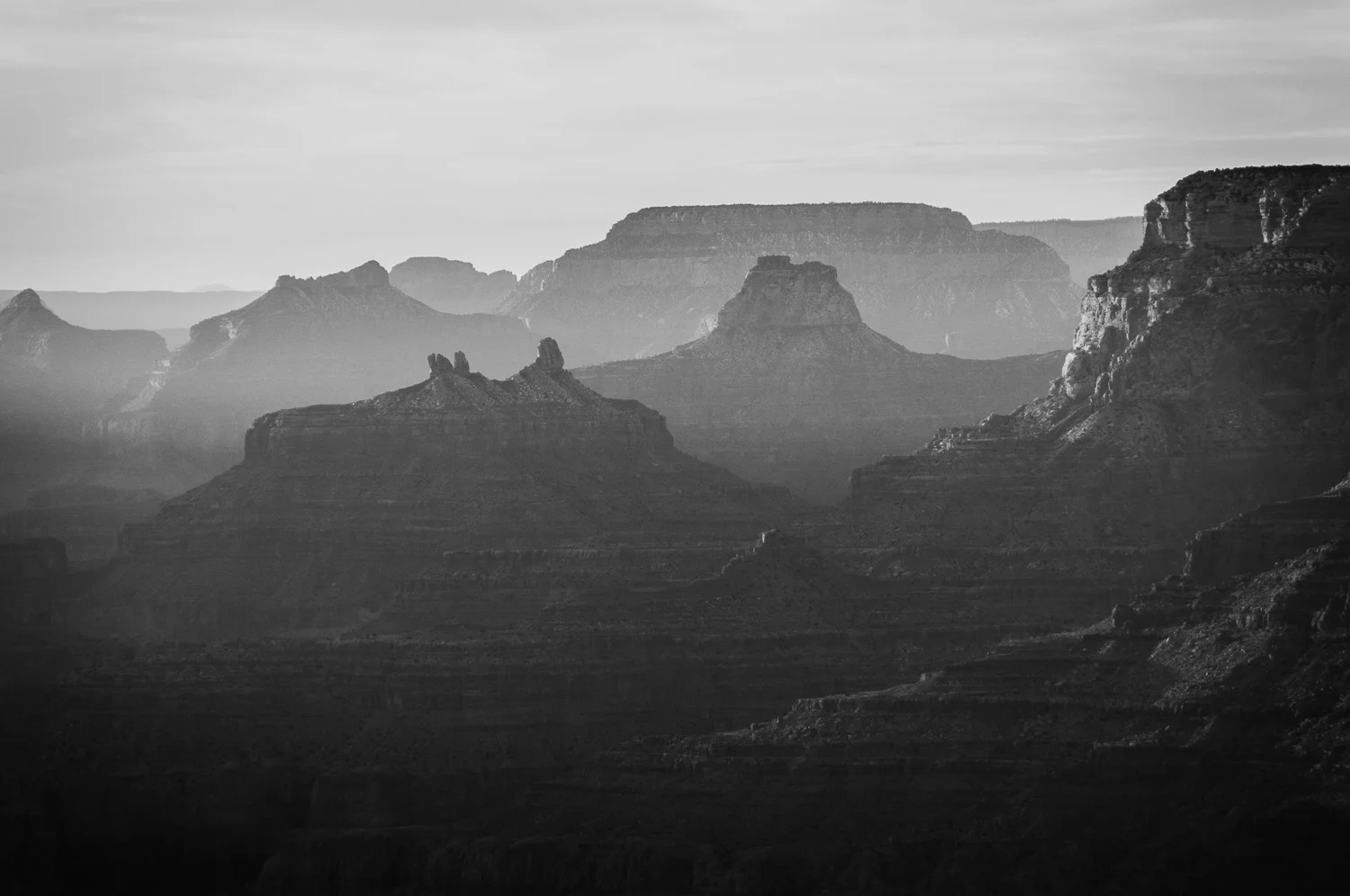 _DSC3659.jpg