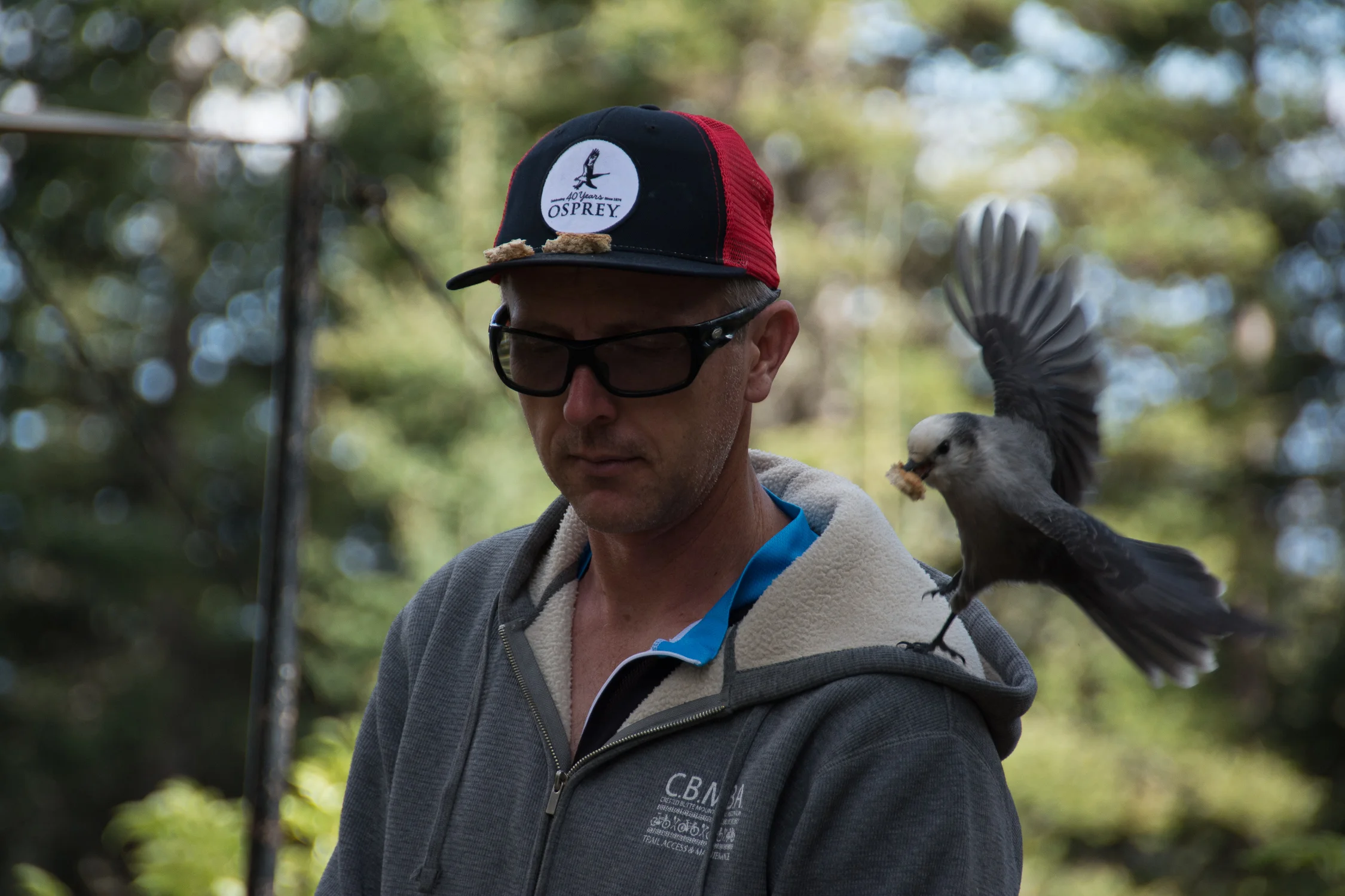_DSC9377.jpg