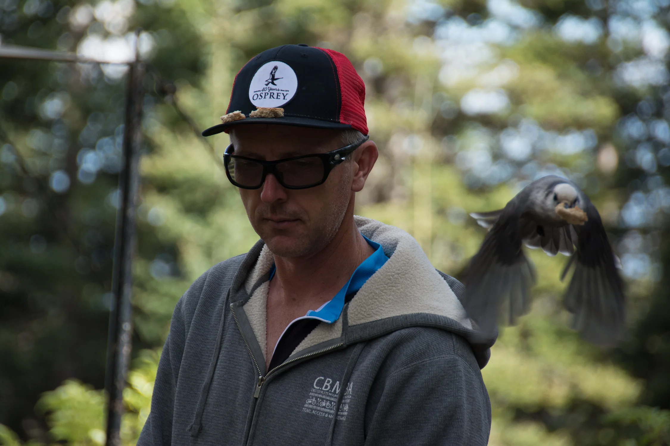 _DSC9378.jpg