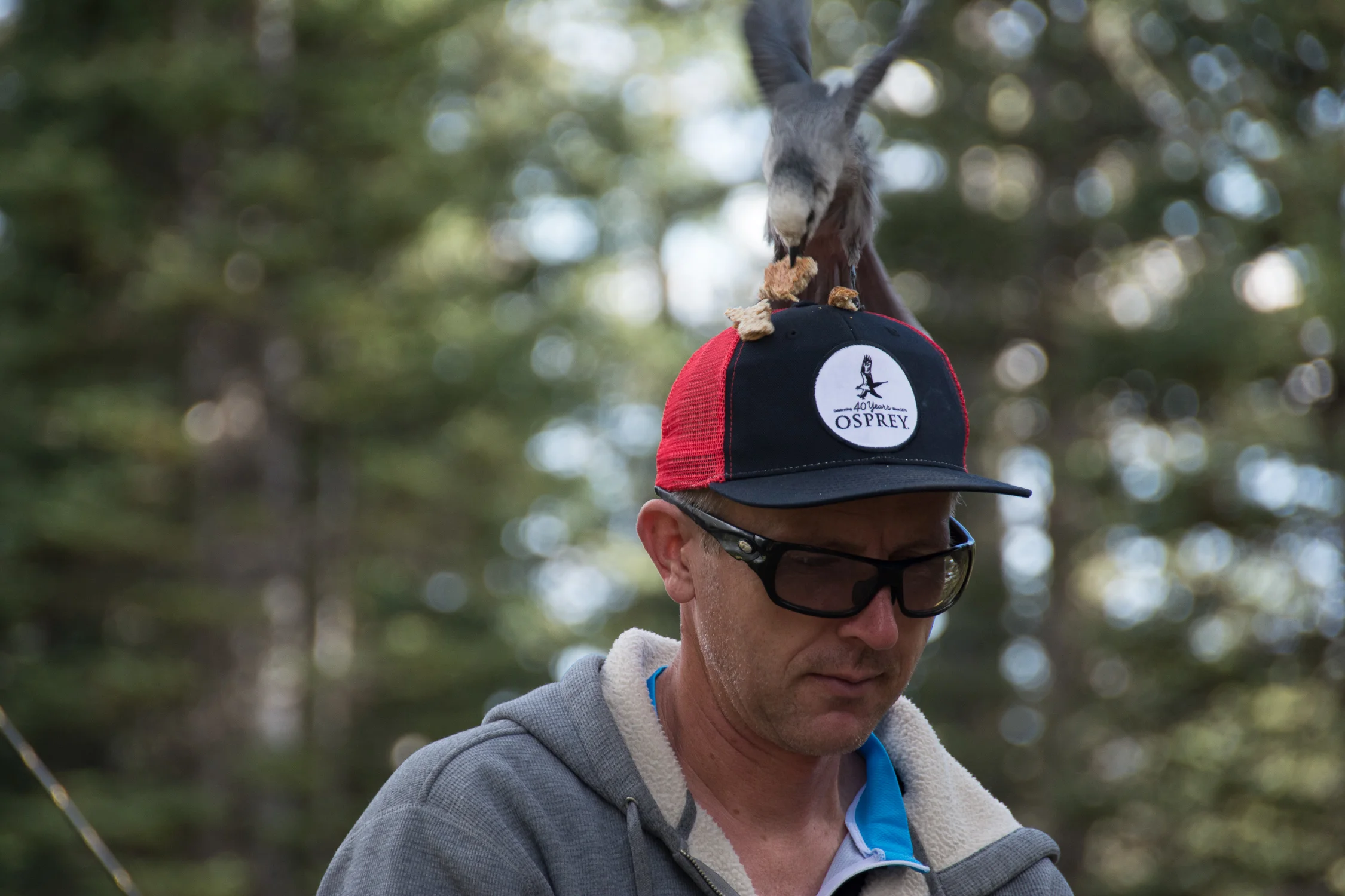 _DSC9392.jpg