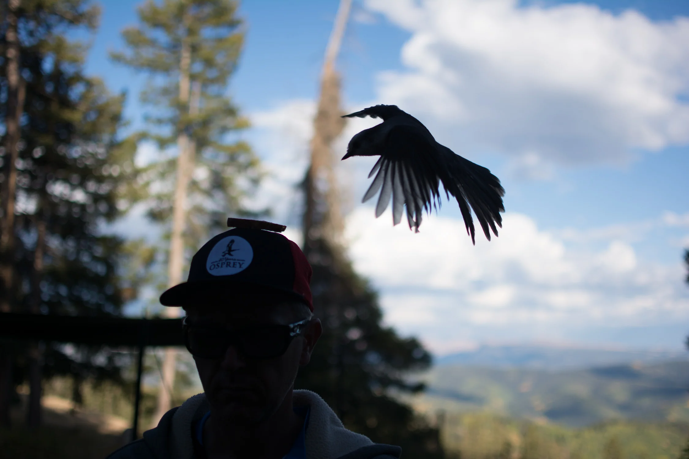 _DSC9485.jpg