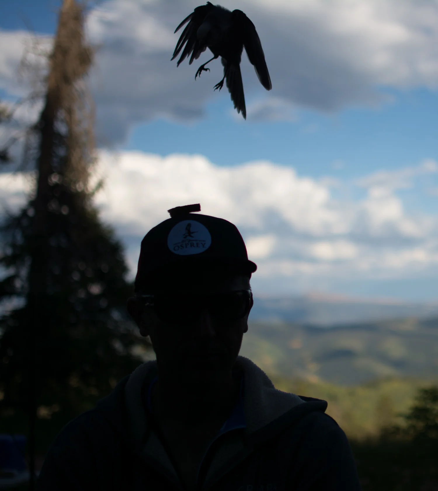 _DSC9489.jpg