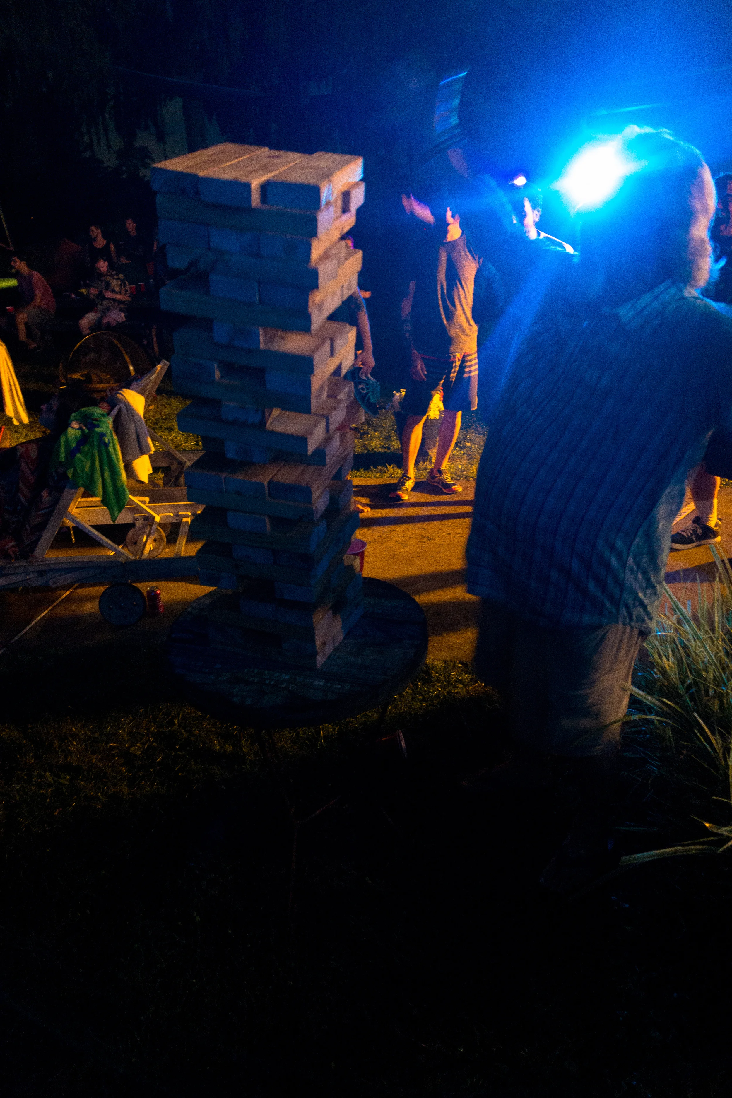 palmerpalooza2016-80.jpg