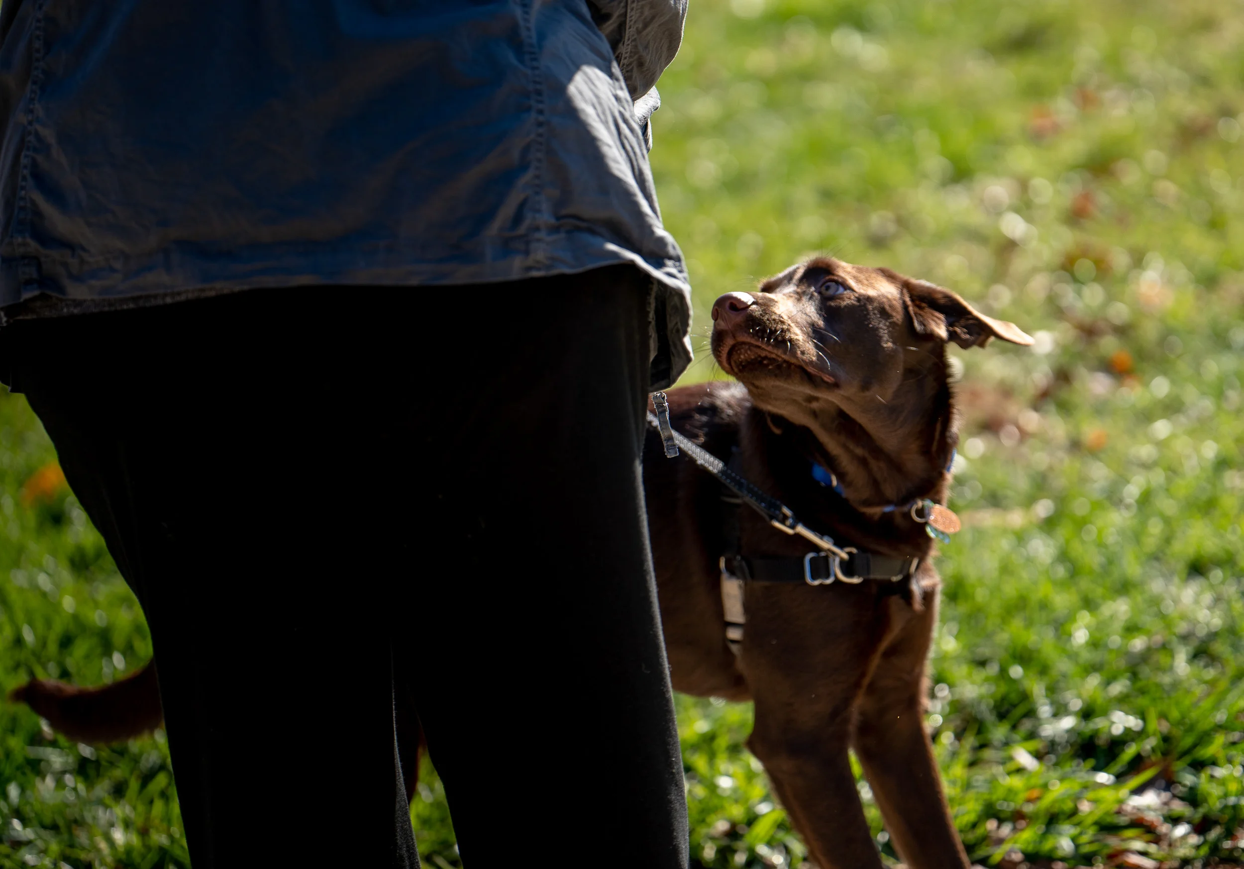 _DSC3054.jpg