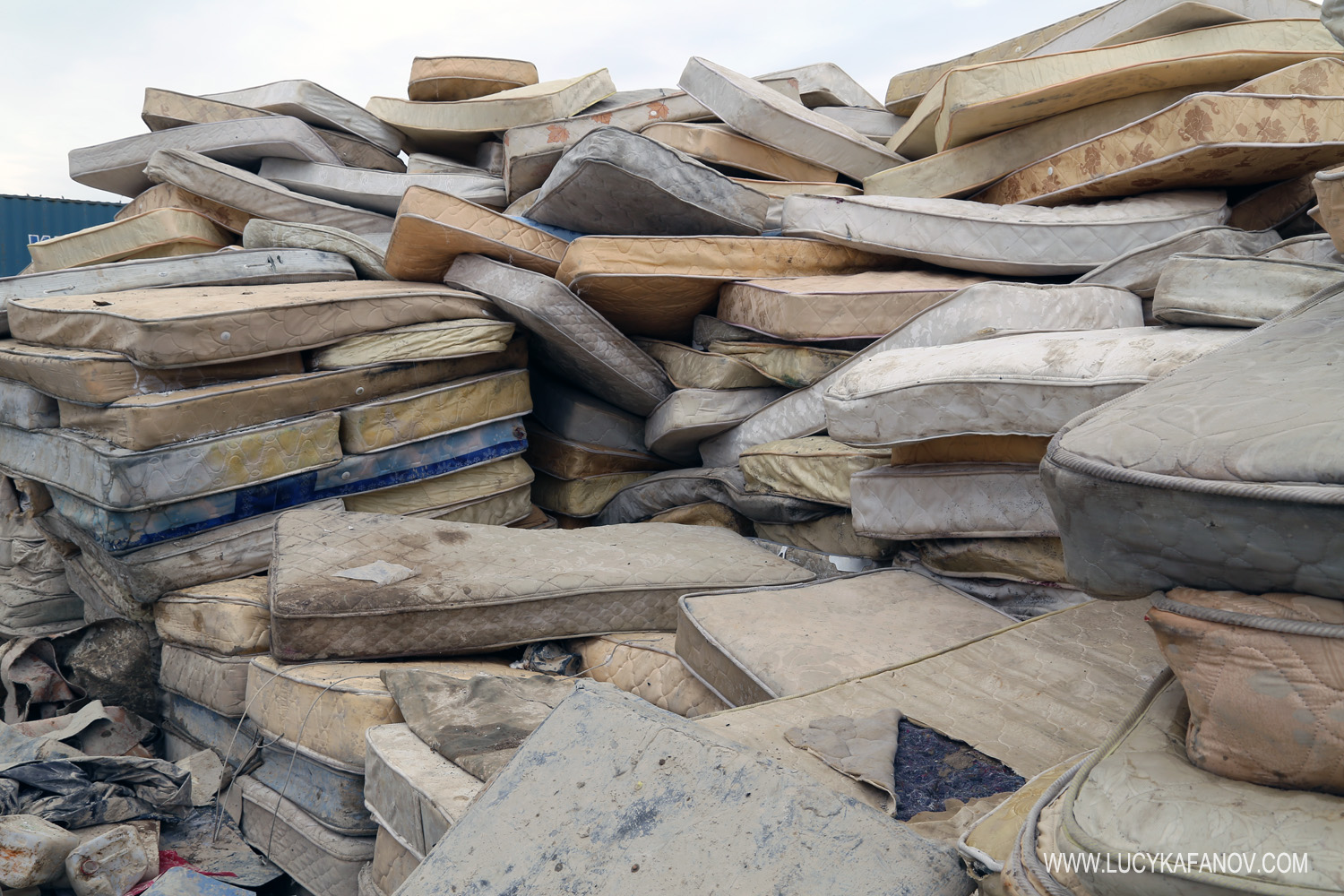 Bagram Bedding
