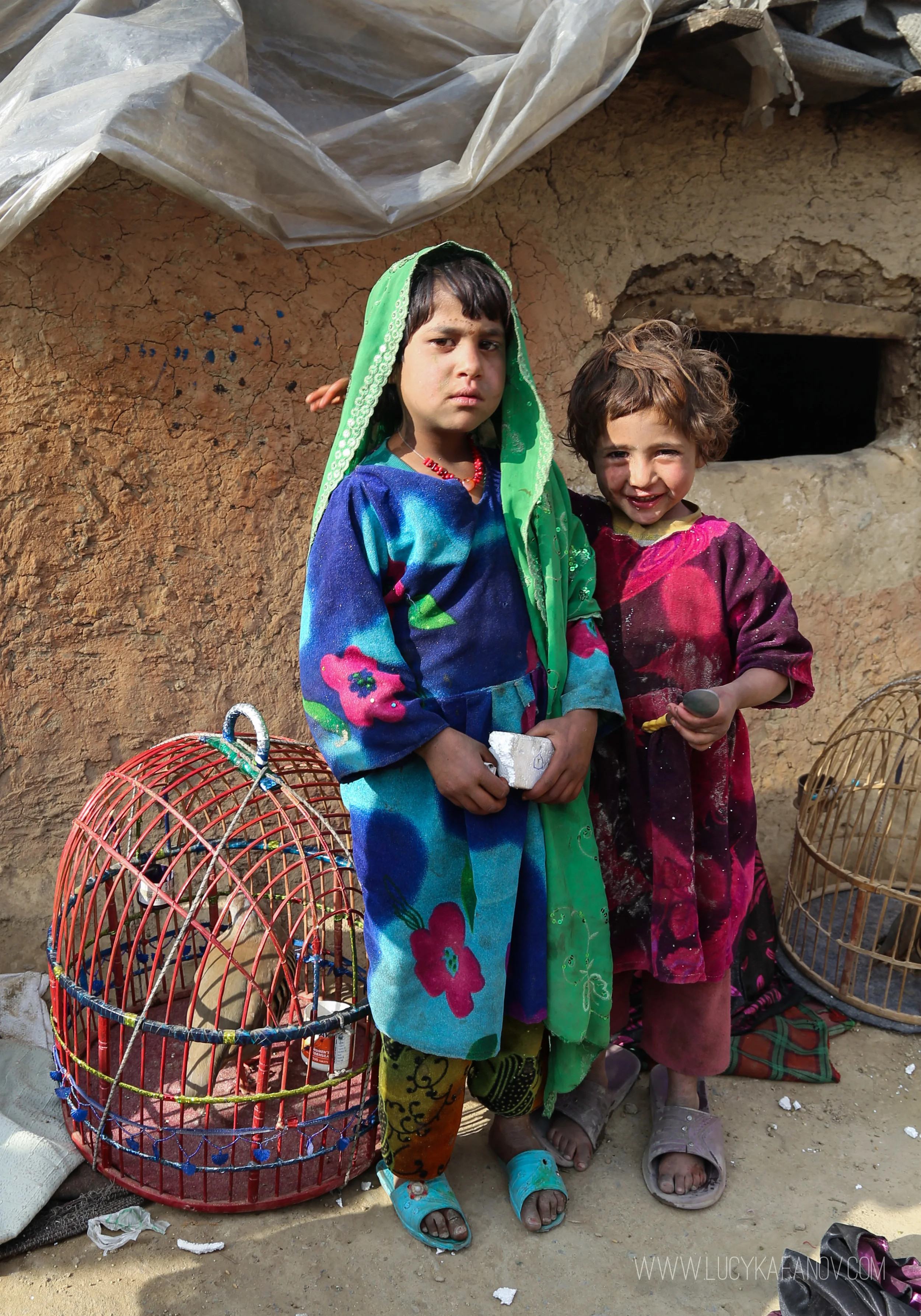 Some families in Afghanistan's IDP camps keep caged pet quails to sell for extra cash. More money can be pocketed by taking bets on quail-fighting bouts.