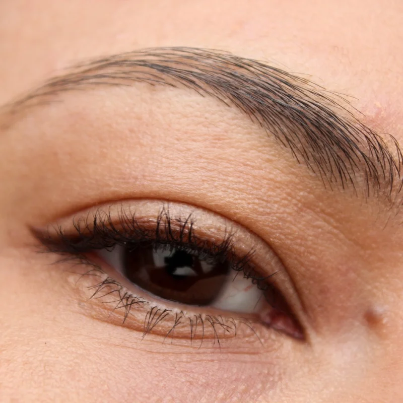 Eye Brow or Lash Tinting