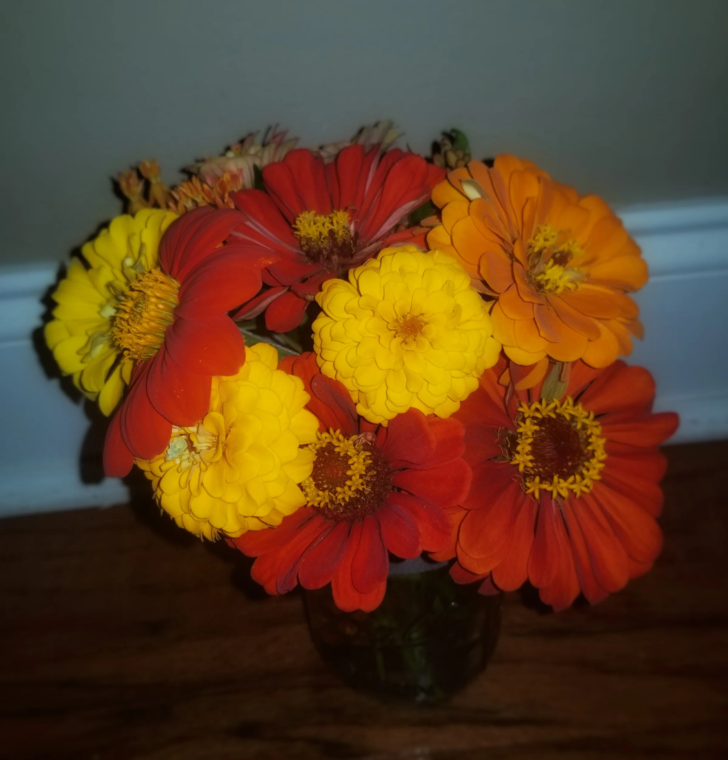 processed_20190815_180654-01.jpeg