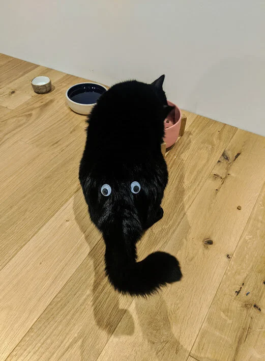 Bought some googly eyes