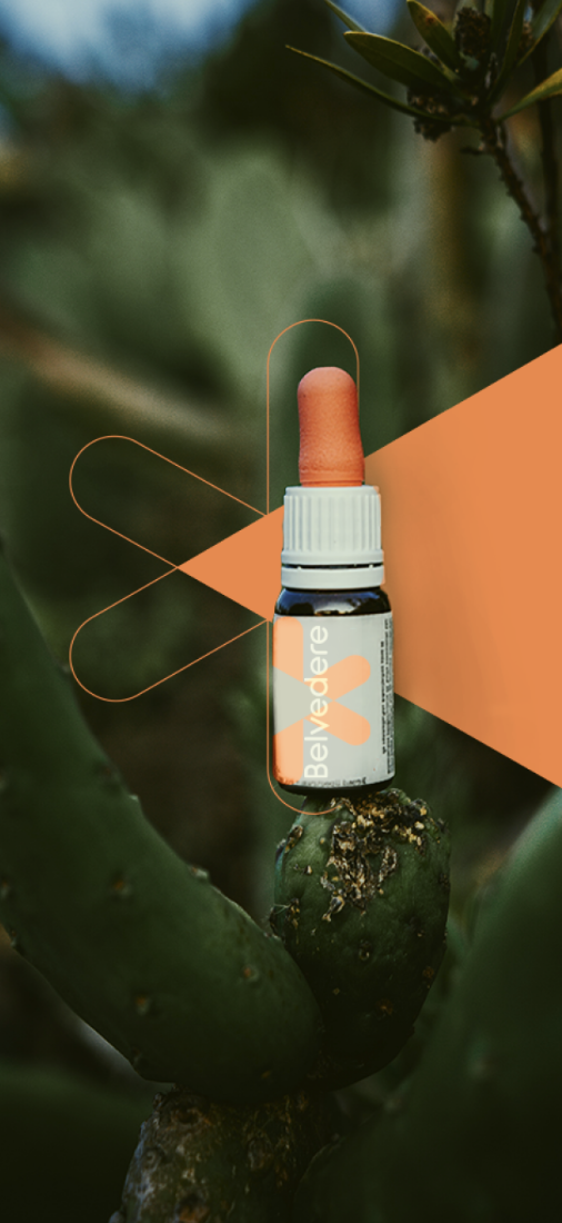 Screenshot 2026-03-26 at 16.02.56.png