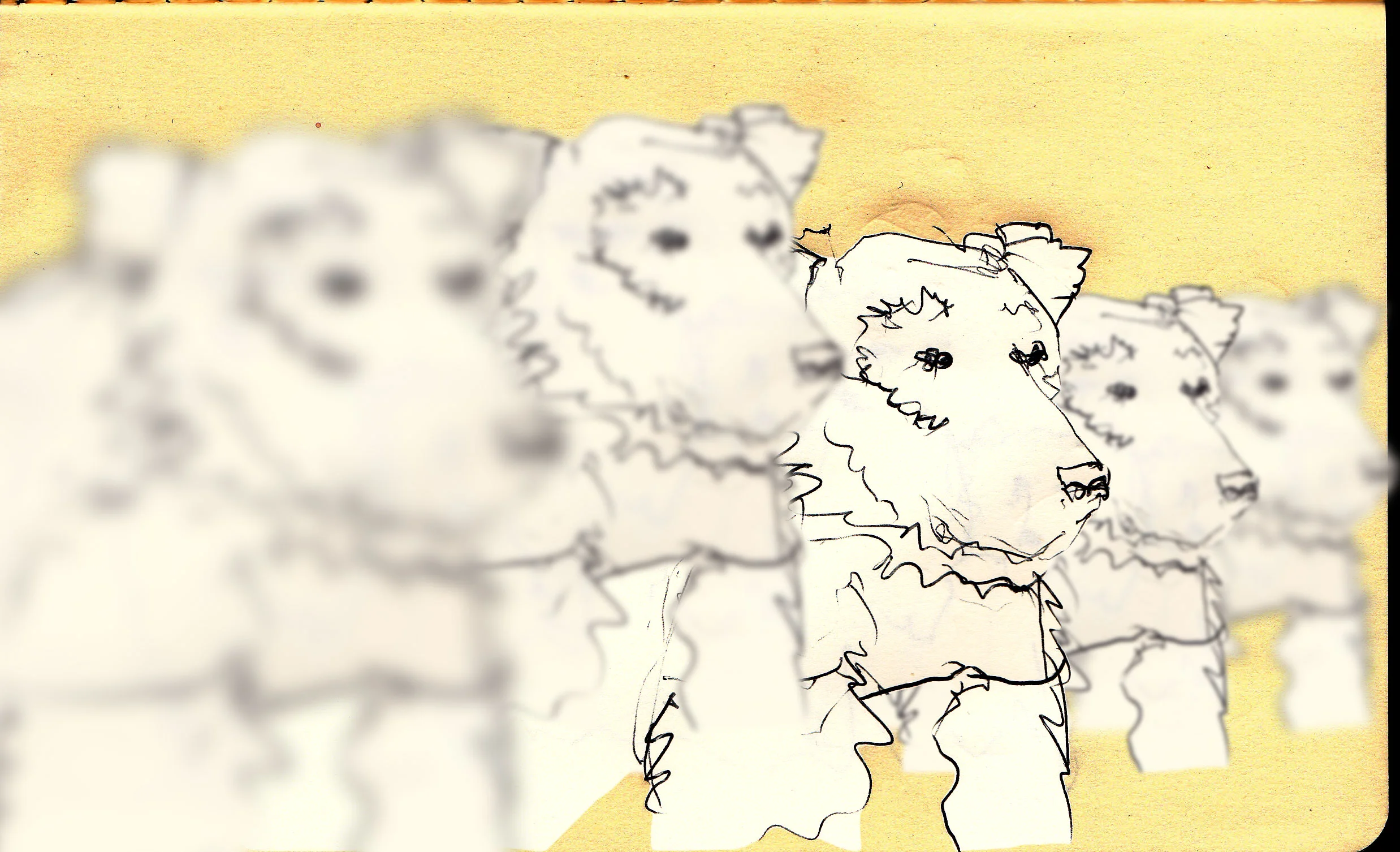 Bear-in-a-Row-2.jpg