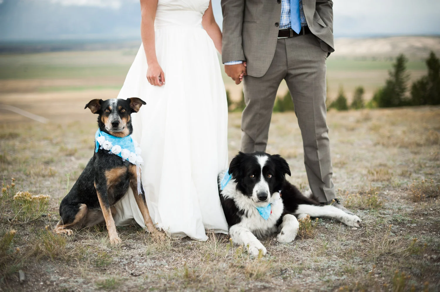 JacksonHoleWeddingTaylorGlenn-0014.jpg