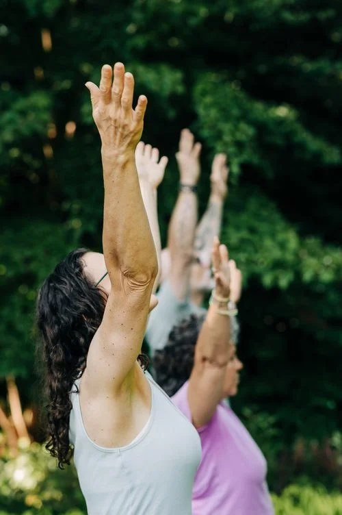 group yoga class​