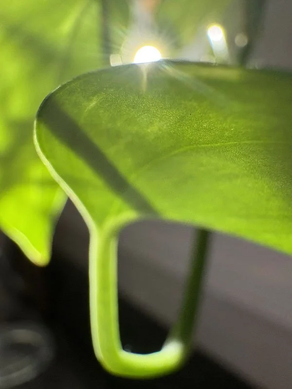 Sunrise_2026-04-15.jpg