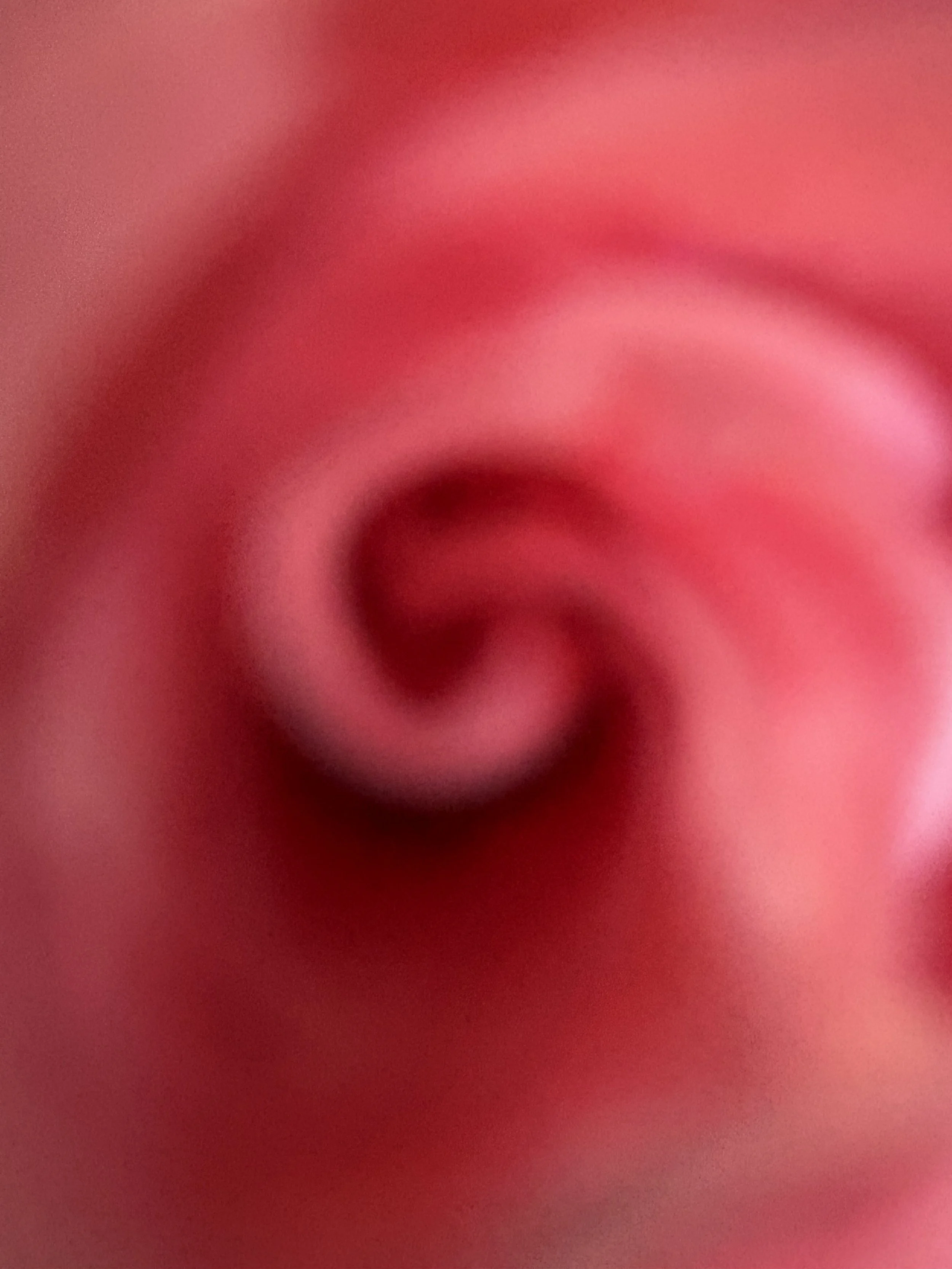 Flortex.jpg
