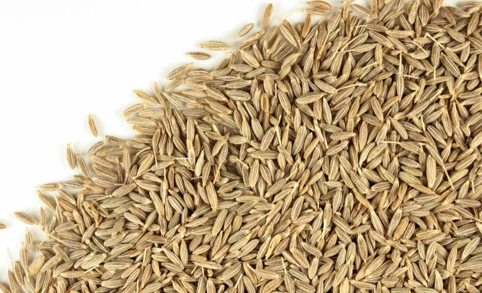 Cumin_seed.jpg