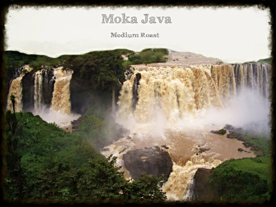 Moka Java.jpg