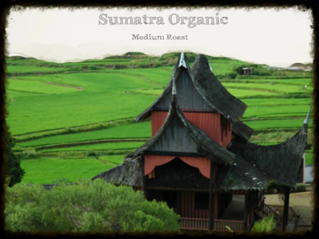Sumatra.jpg