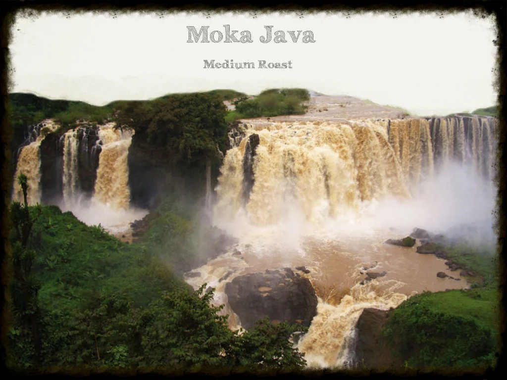 Moka Java.jpg