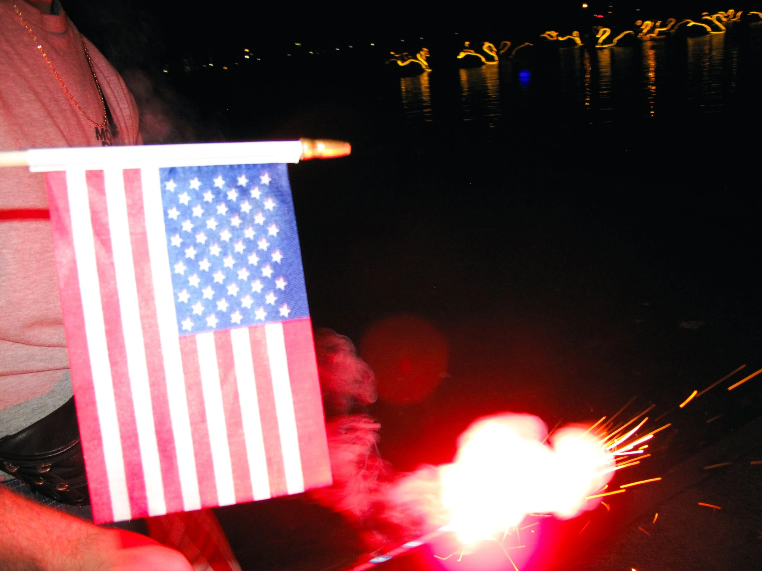 4thofJULY-chaos-358.JPG