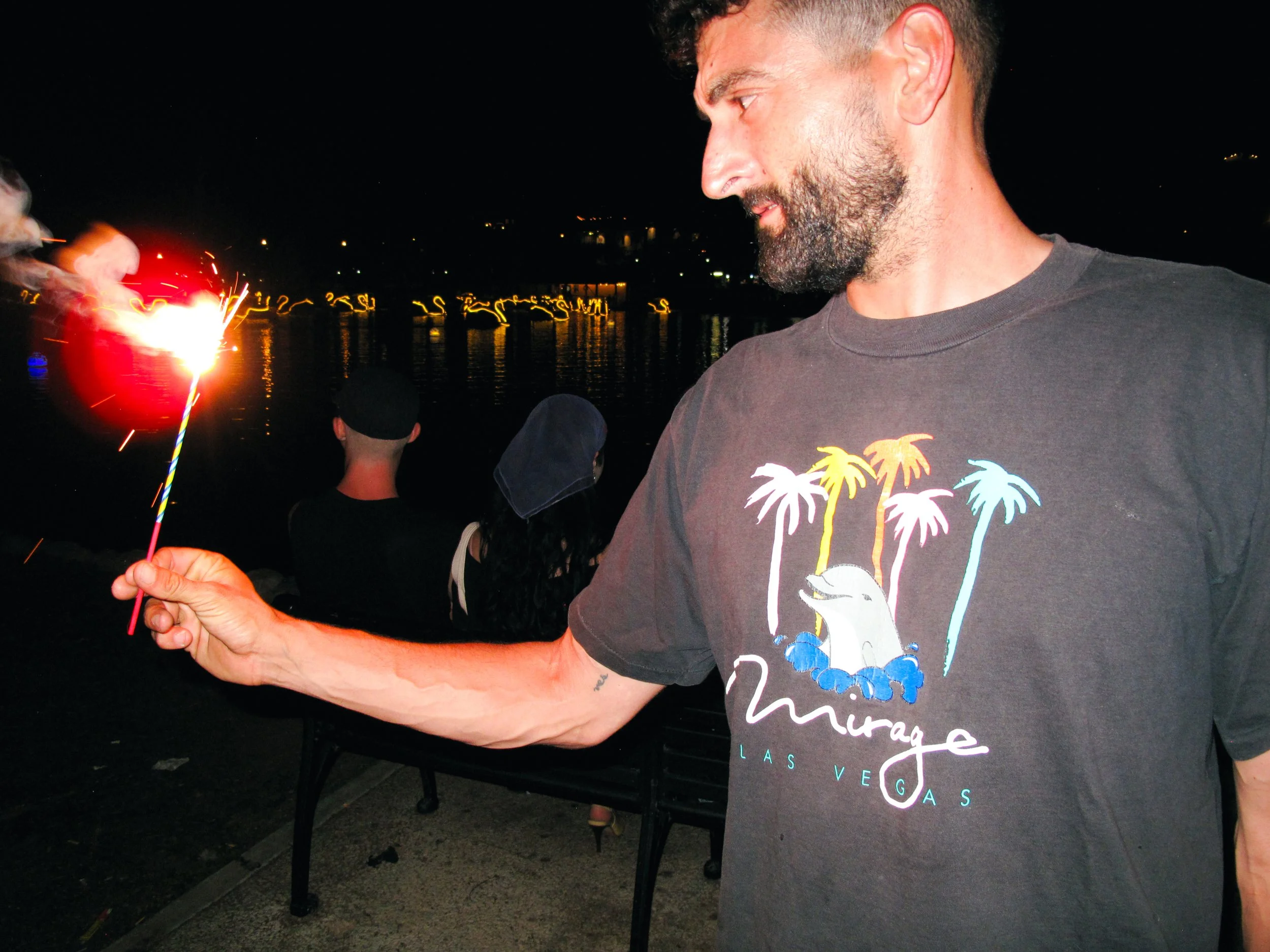 4thofJULY-chaos-360.JPG