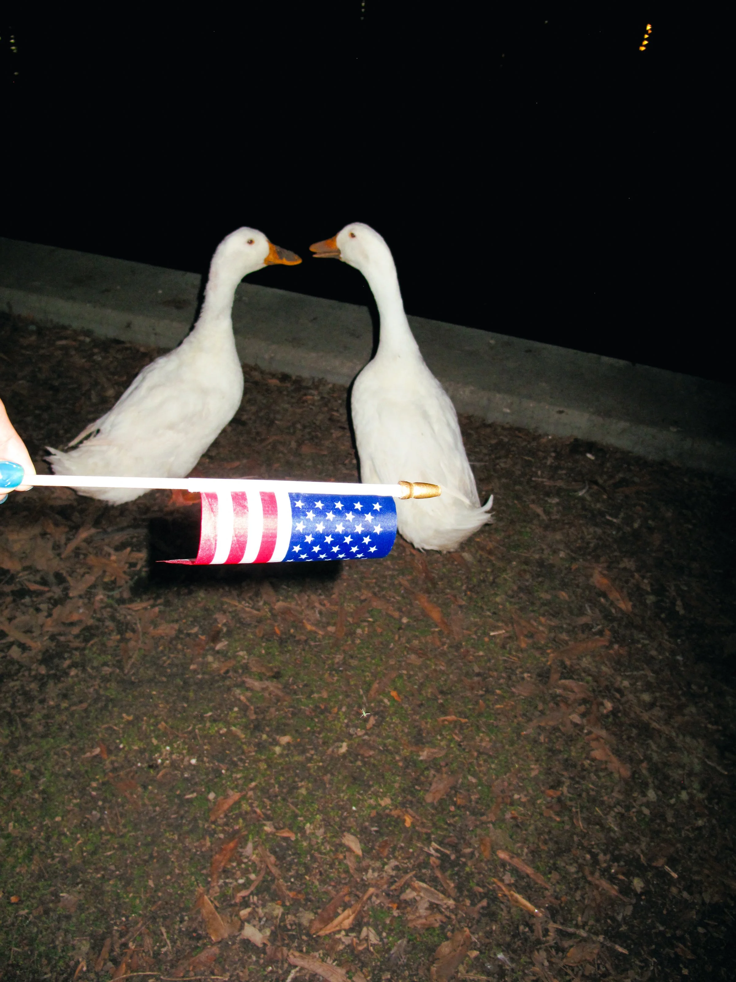 4thofJULY-chaos-378.JPG